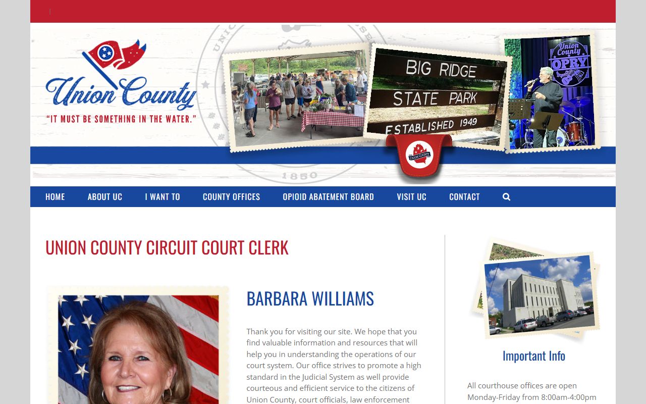 Union County DUI Records Circuit Court Clerk page
